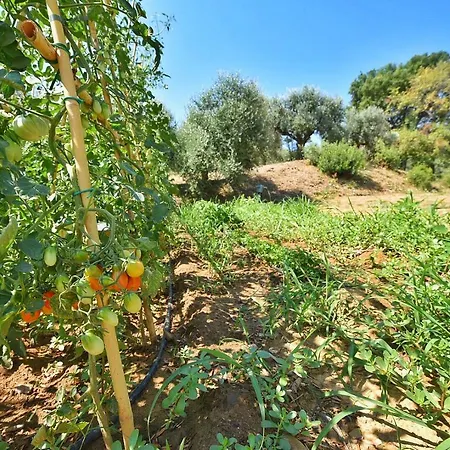 Il Molino *