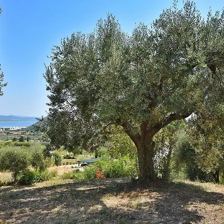 Il Molino Holiday home *